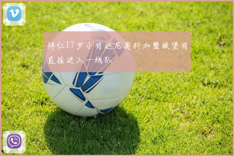 拜仁17岁小将达尼奥科加盟狼堡将直接进入一线队