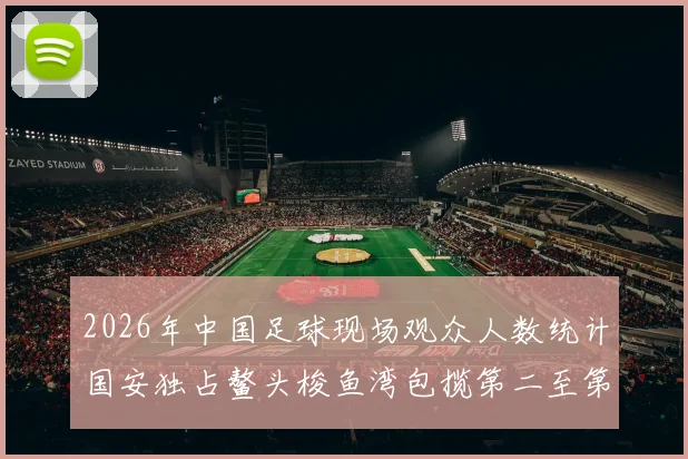 2026年中国足球现场观众人数统计国安独占鳌头梭鱼湾包揽第二至第七位
